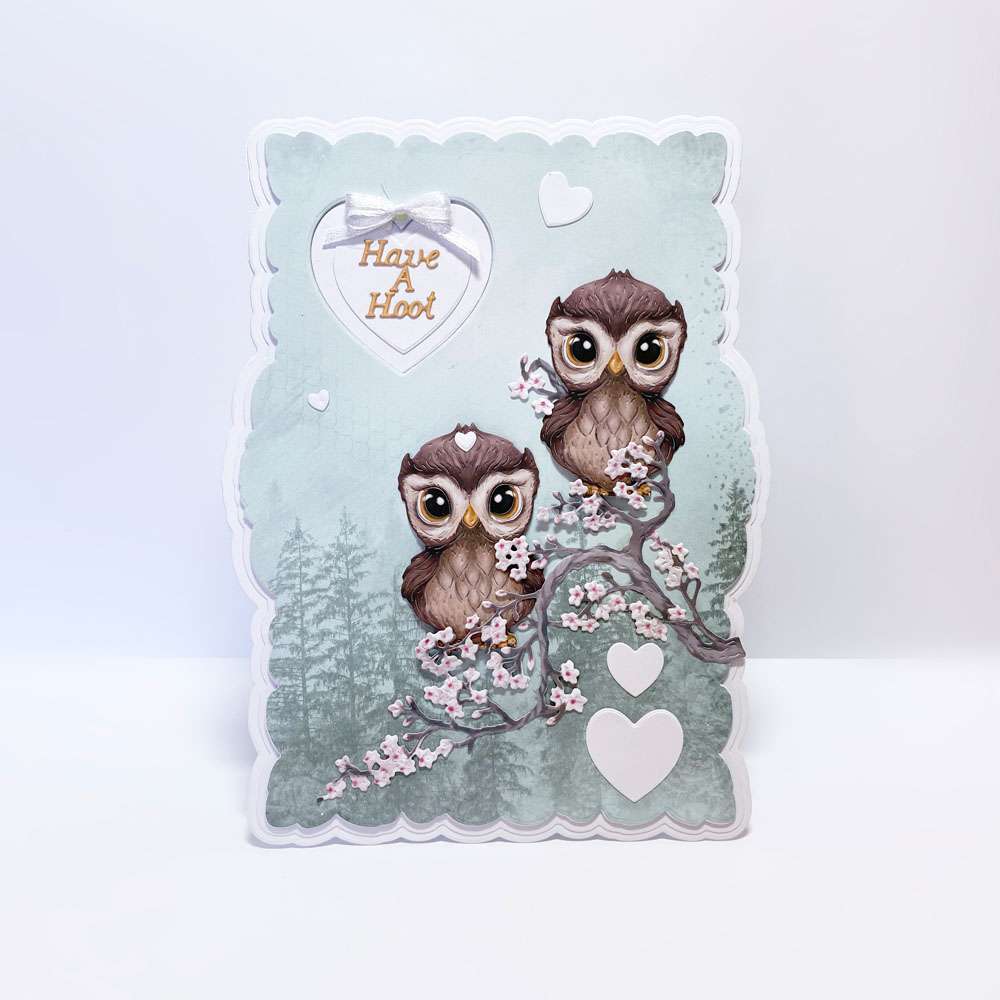 Carnation Crafts Have A Hoot Die Set