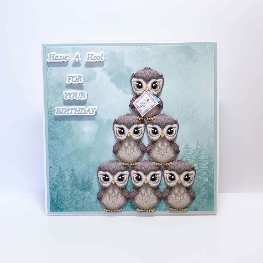 Carnation Crafts Have A Hoot Die Set