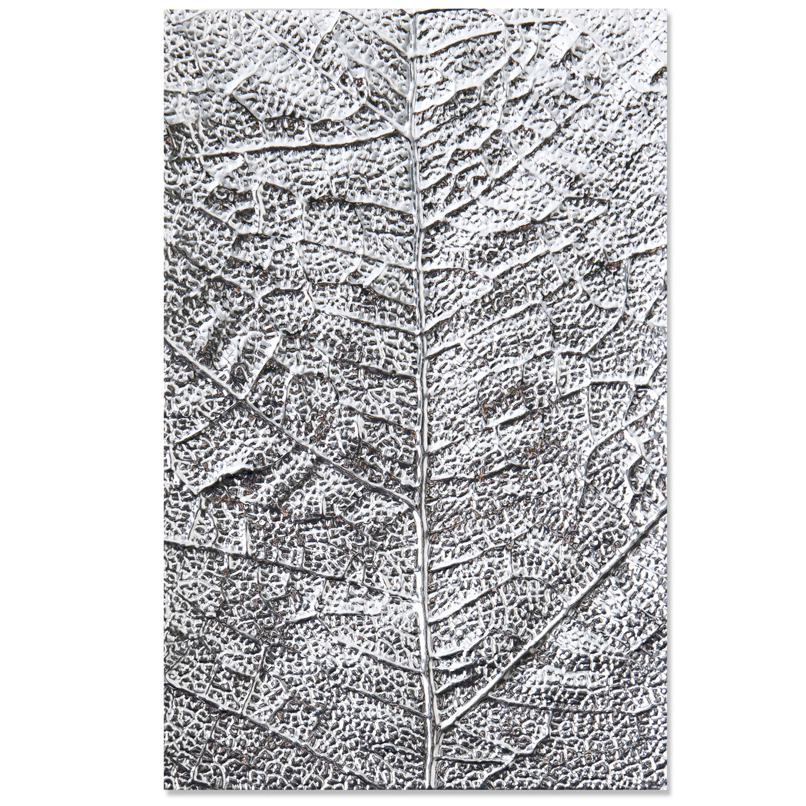 Sizzix 3-D Textured Impressions Embossing Folder - Leaf Veins