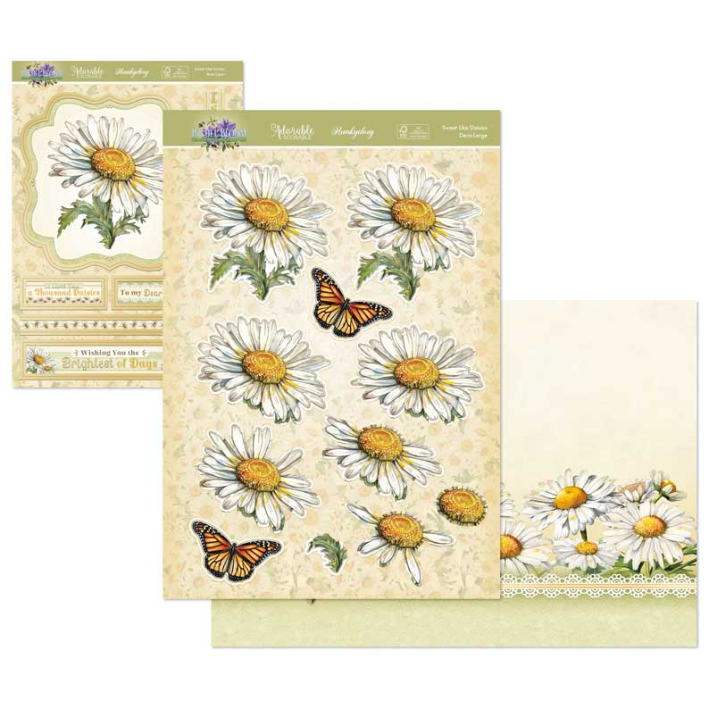 In Full Bloom Deco-Large Set - Sweet Like Daisies