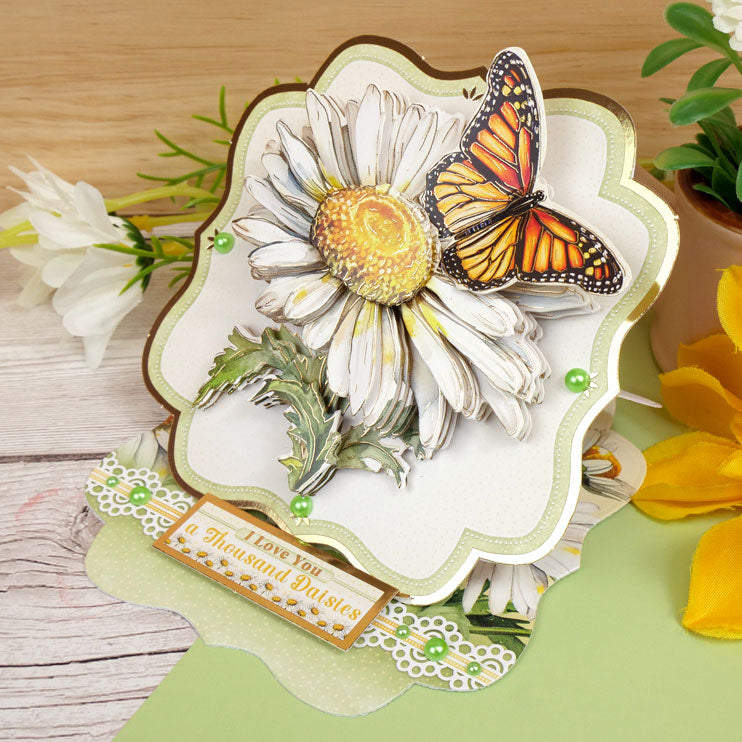 In Full Bloom Deco-Large Set - Sweet Like Daisies