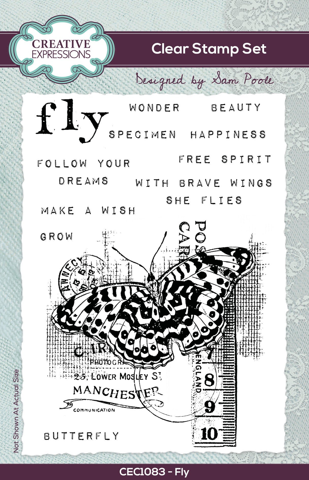 Creative Expressions Sam Poole Fly 4 in x 6 in Clear Stamp Set