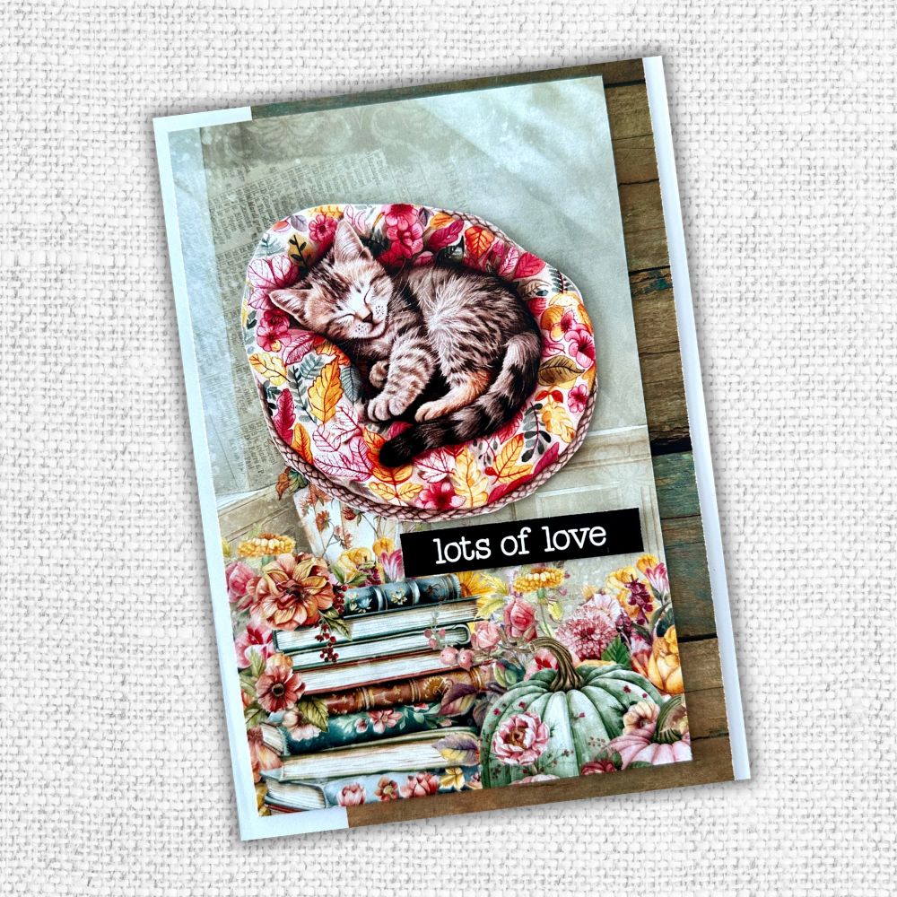 Cozy Fall 6x6 Paper Collection 32700