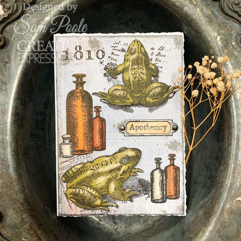 Creative Expressions Sam Poole Witches Brew 6 in x 8 in Clear Stamp Set