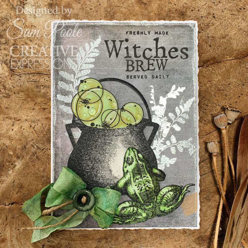 Creative Expressions Sam Poole Witches Brew 6 in x 8 in Clear Stamp Set