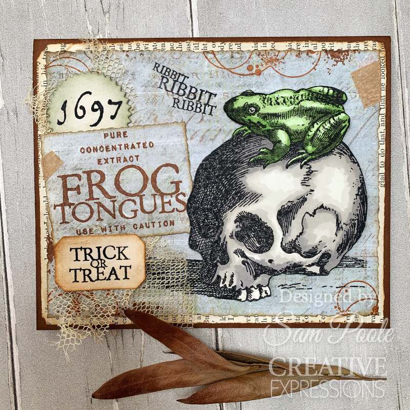 Creative Expressions Sam Poole Halloween Frogs 6 in x 8 in Clear Stamp Set