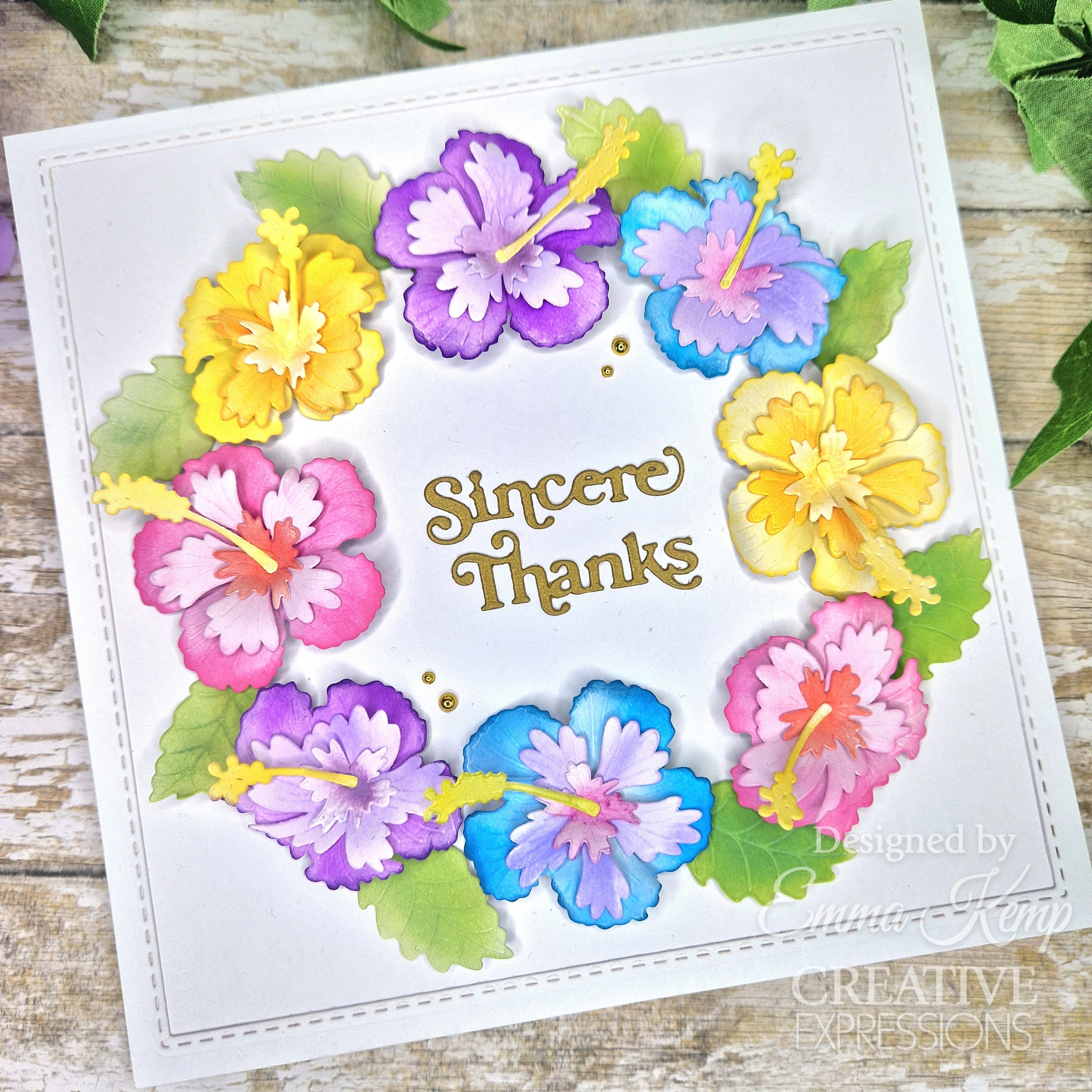 Creative Expressions Sue Wilson Mini Shadowed Sentiments Sincere Thanks Craft Die