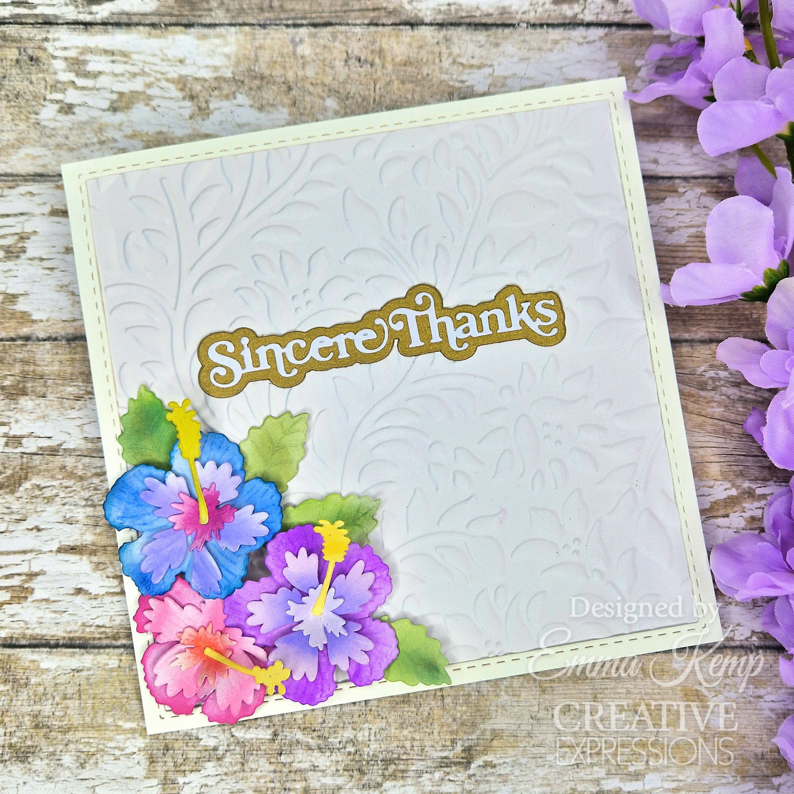 Creative Expressions Sue Wilson Mini Shadowed Sentiments Sincere Thanks Craft Die