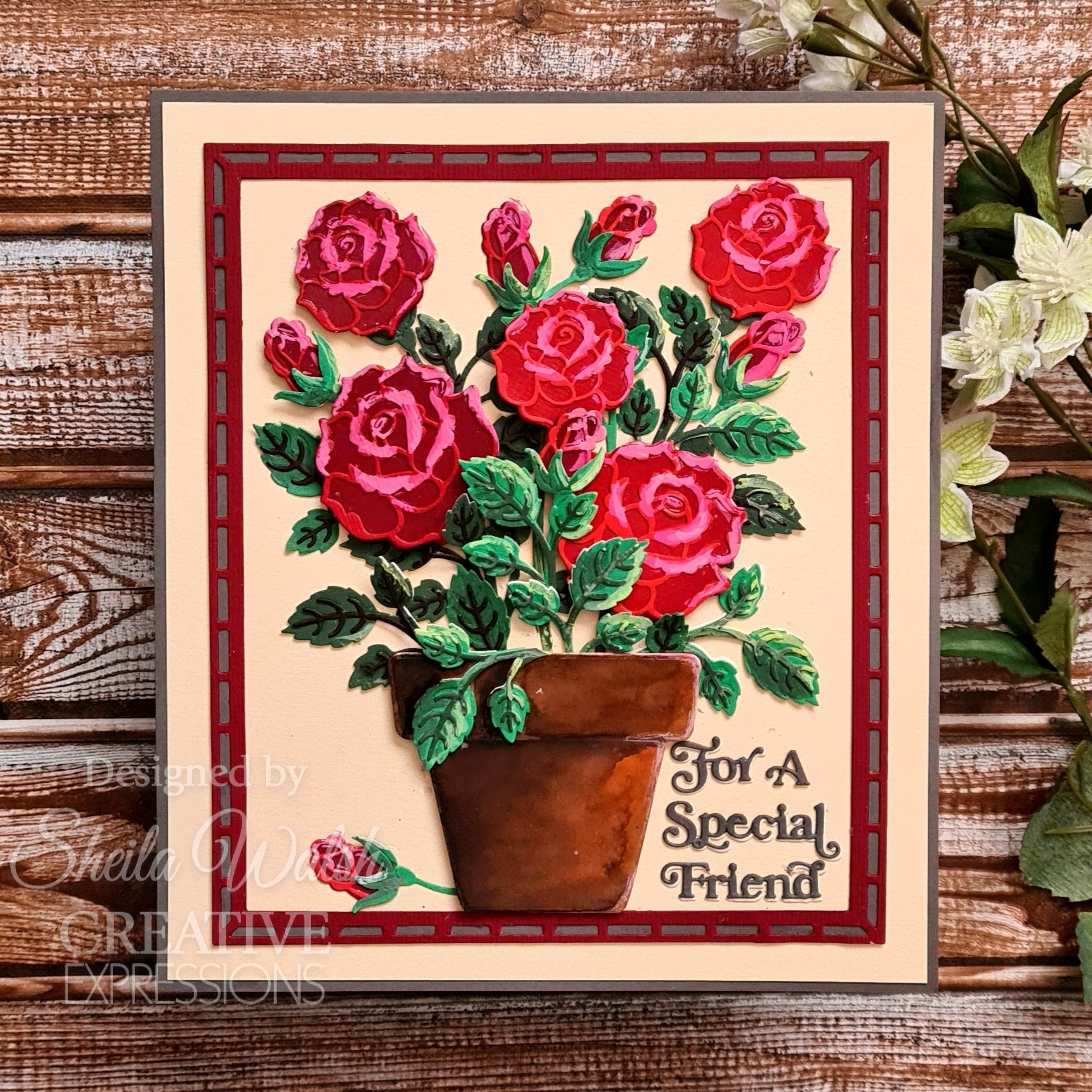Creative Expressions Sue Wilson Mini Shadowed Sentiments For A Special Friend Craft Die