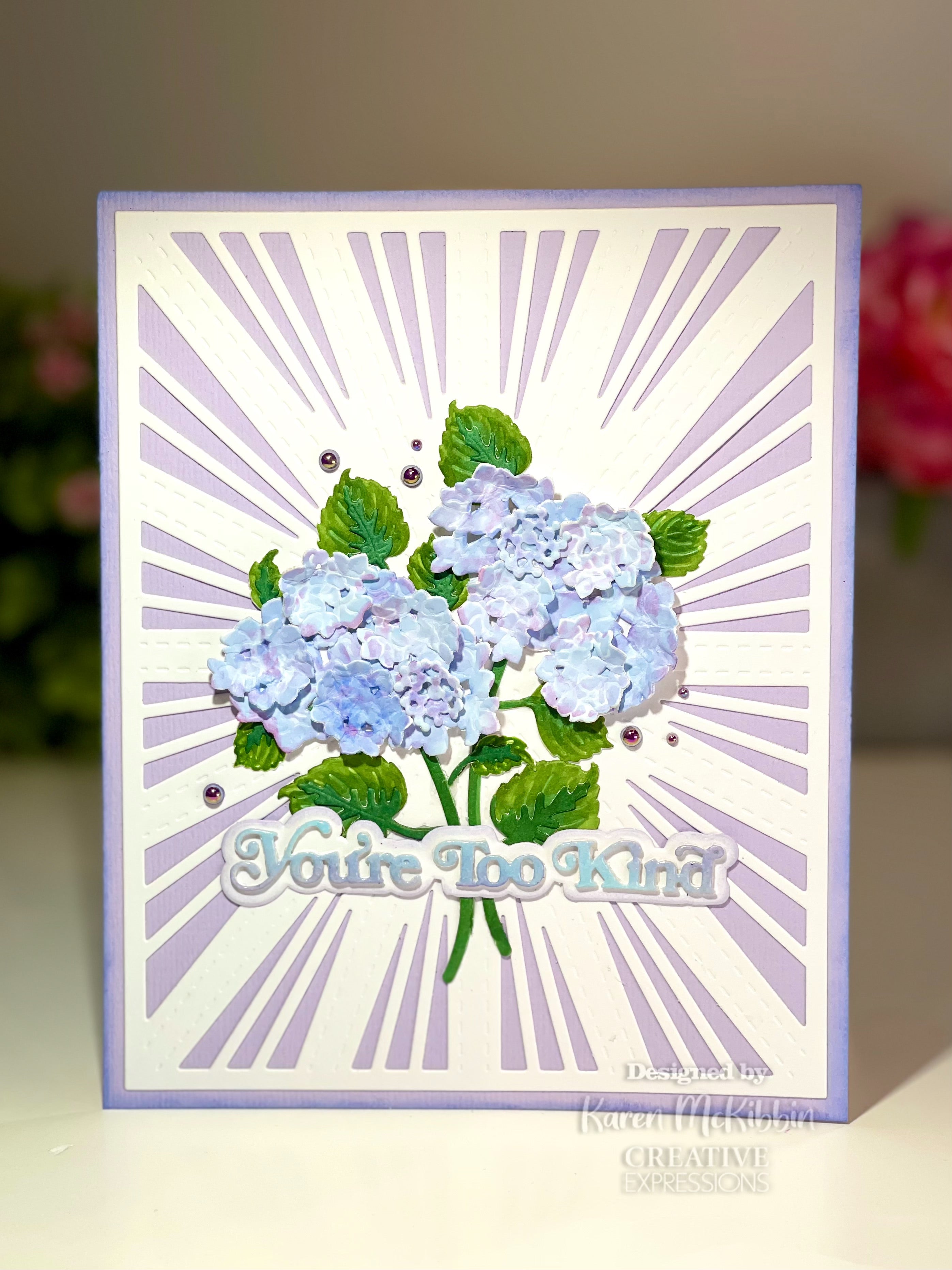 Creative Expressions Sue Wilson Mini Shadowed Sentiments You're Too Kind Craft Die