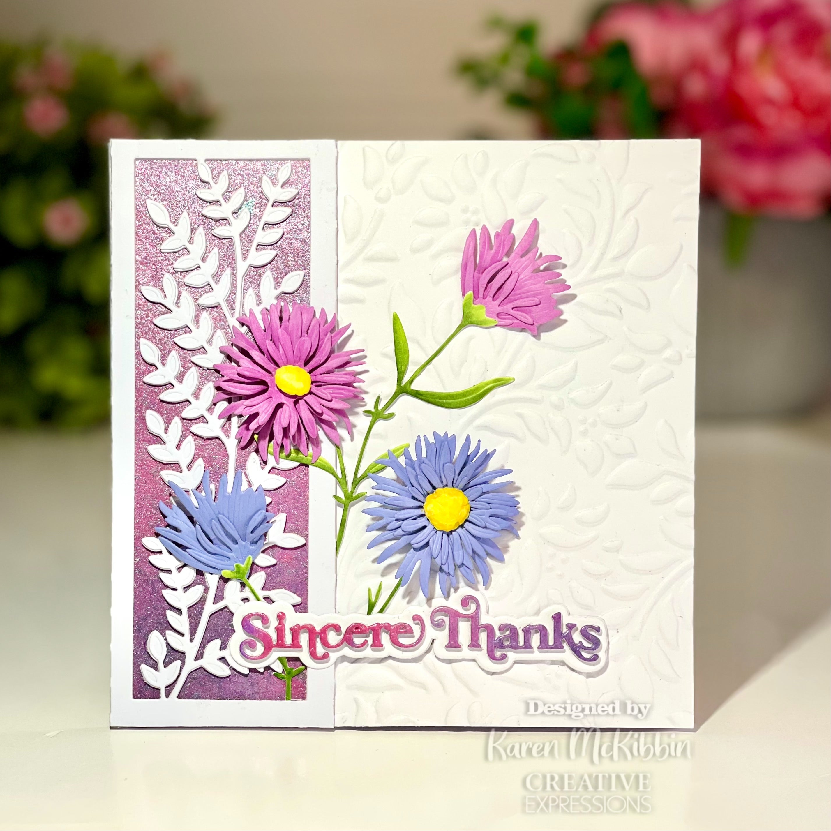 Creative Expressions Sue Wilson Mini Shadowed Sentiments Sincere Thanks Craft Die