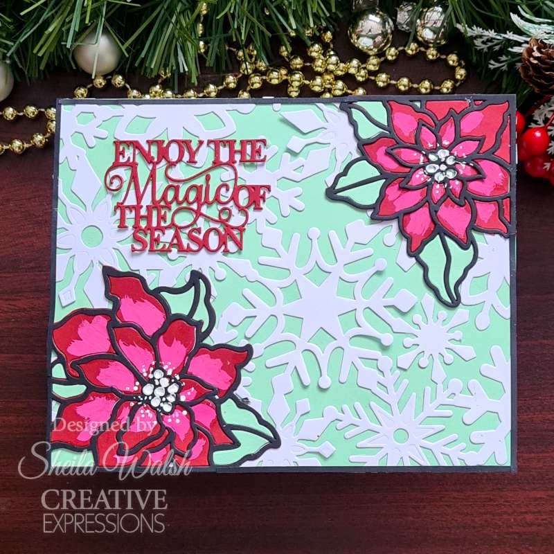 Creative Expressions Sue Wilson Festive Snowflake Floating Frame Craft Die