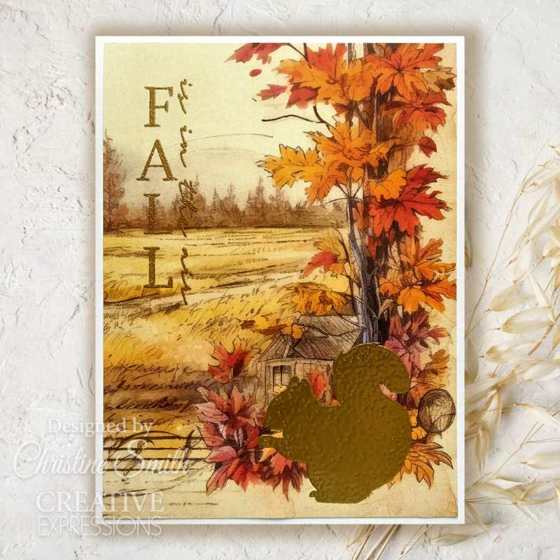 Creative Expressions Taylor Made Journals Fall Favourites 6 in x 8 in Clear Stamp Set