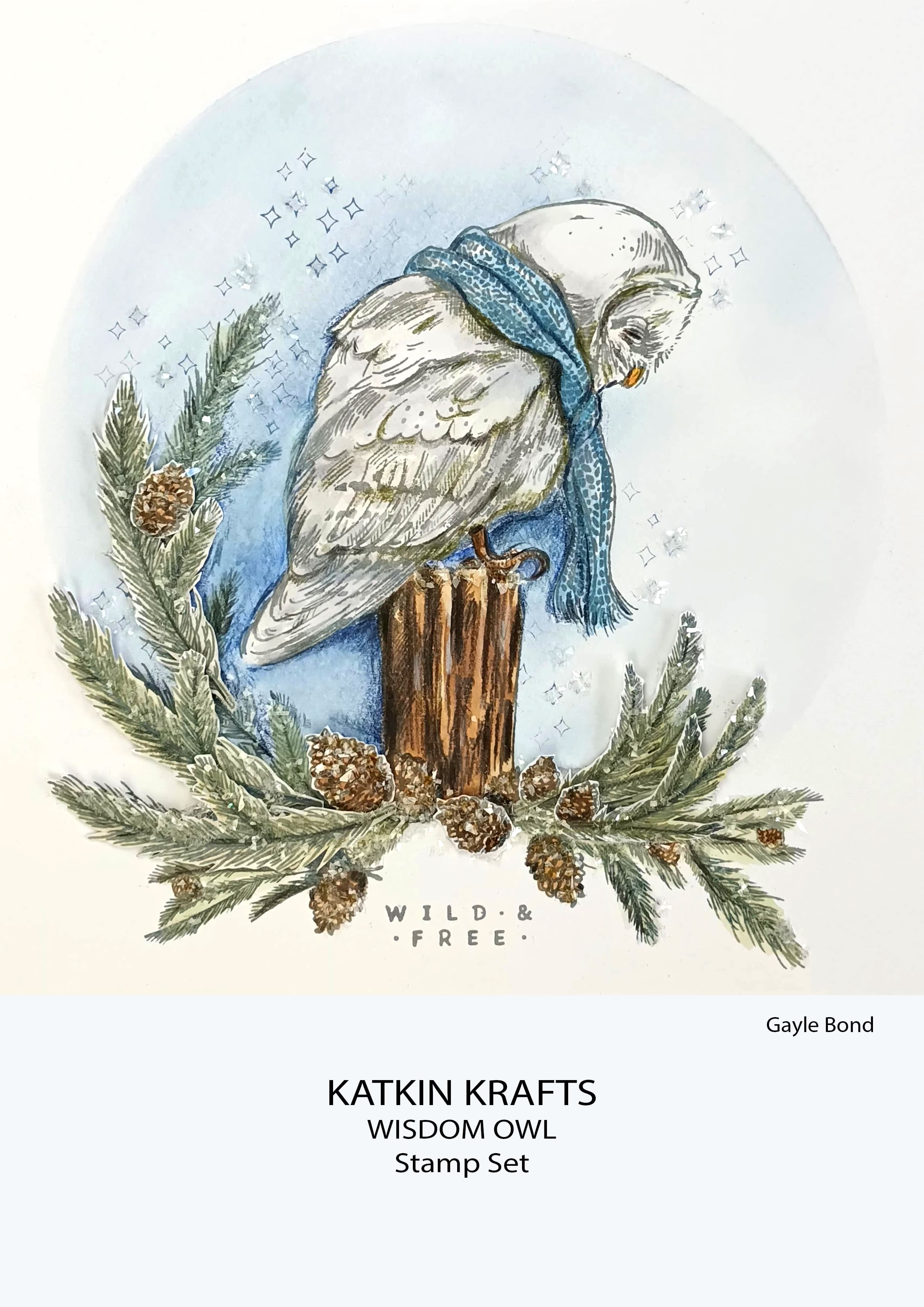 Katkin Krafts Wisdom Owl 6 in x 8 in Clear Stamp Set