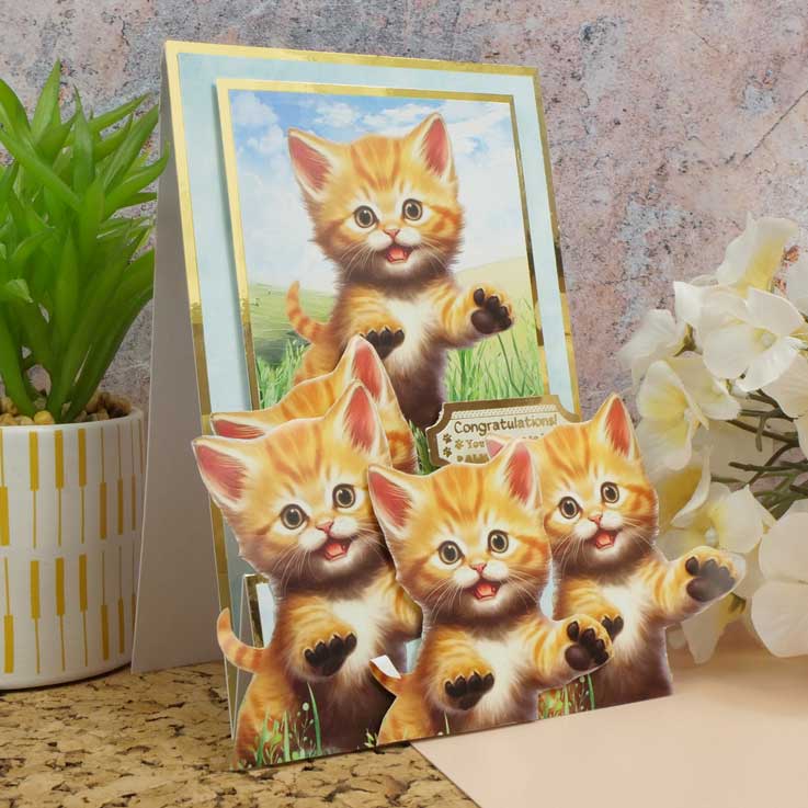 Cute Cats Pocket Pad