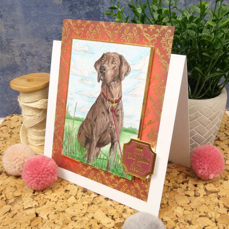 Colouring Pocket Pads - Delightful Dogs