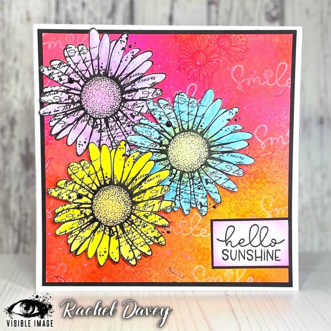 Visible Image Daisy Grunge - A6 Stamp Set