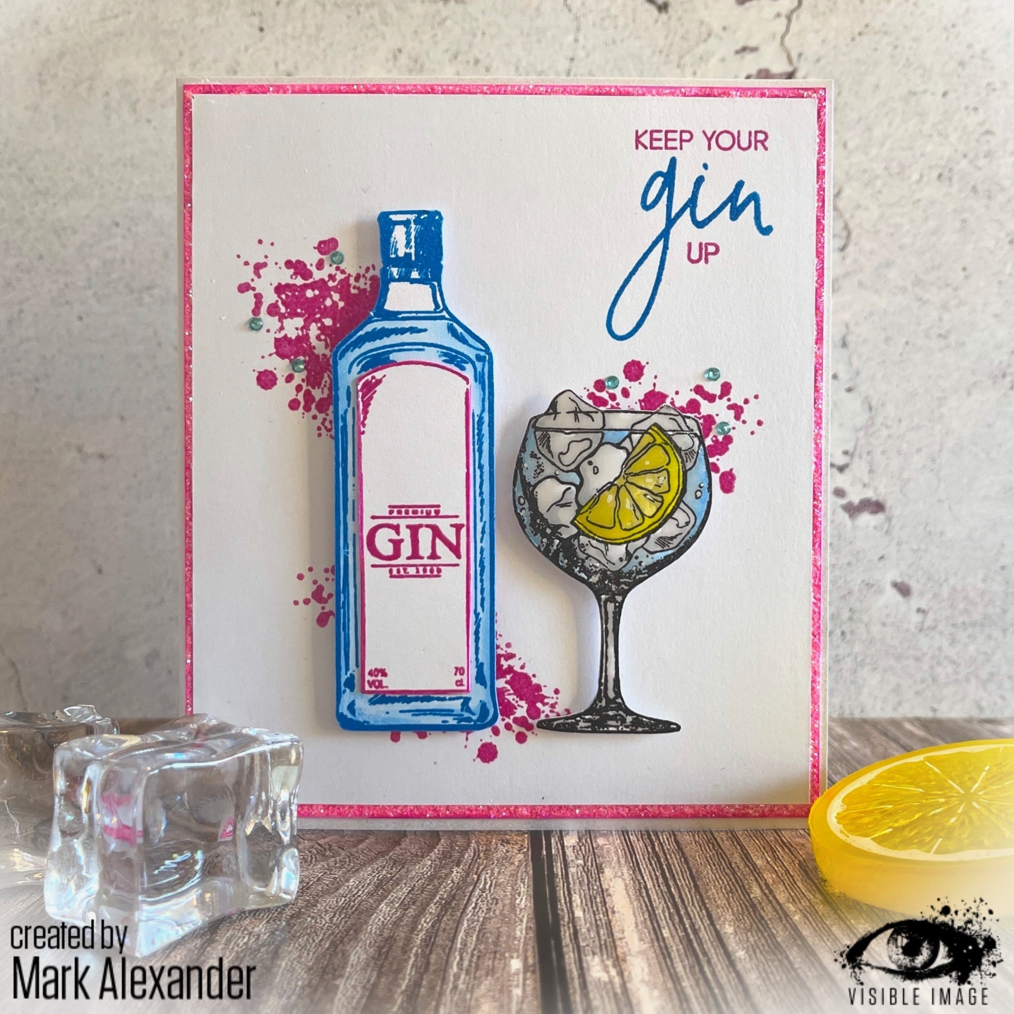 Visible Image Keep Your Gin Up - A6  Stamp Set