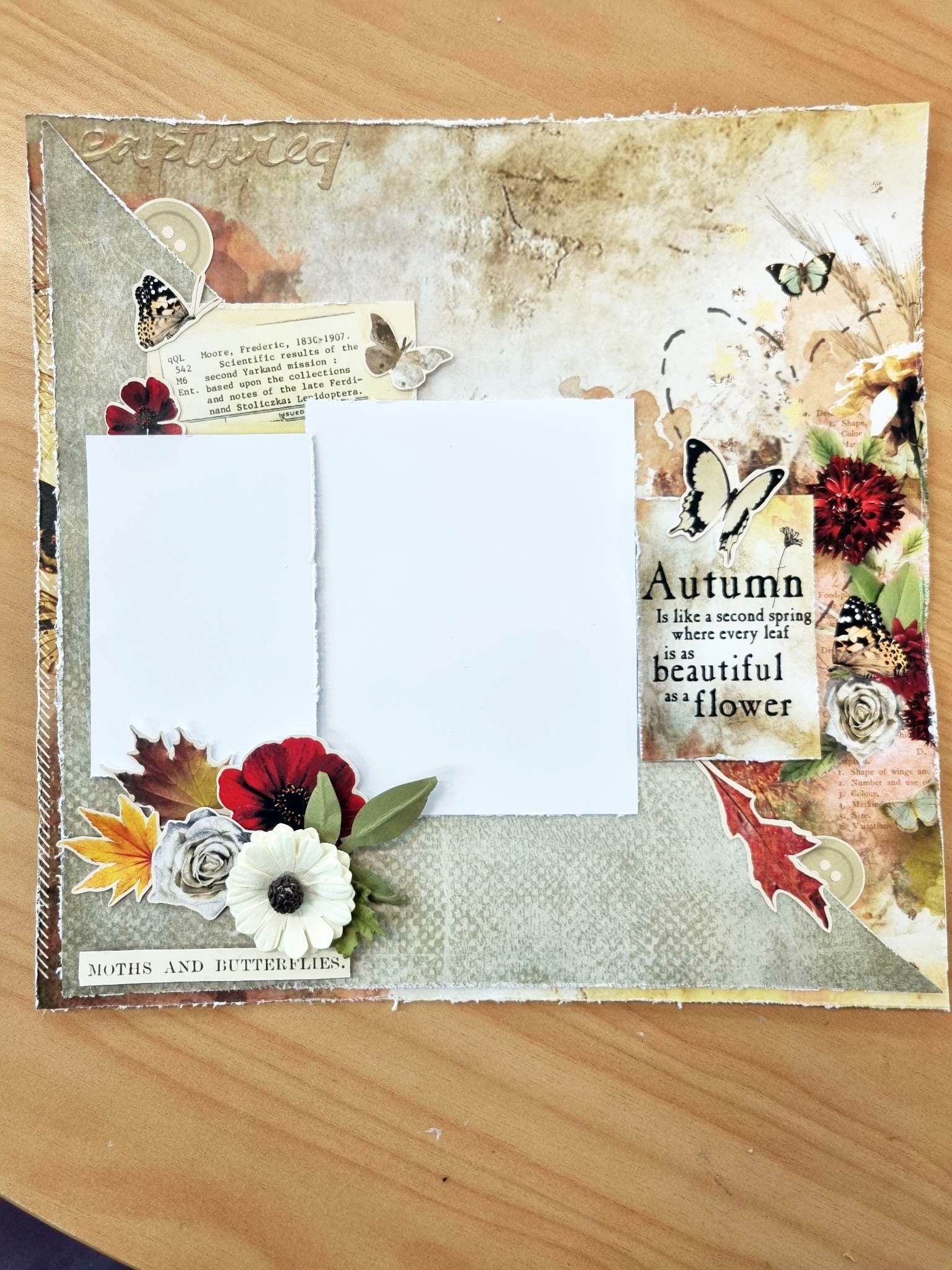 3Quarter Designs - 12" X12" Paper Pack - Autumn Butterfly