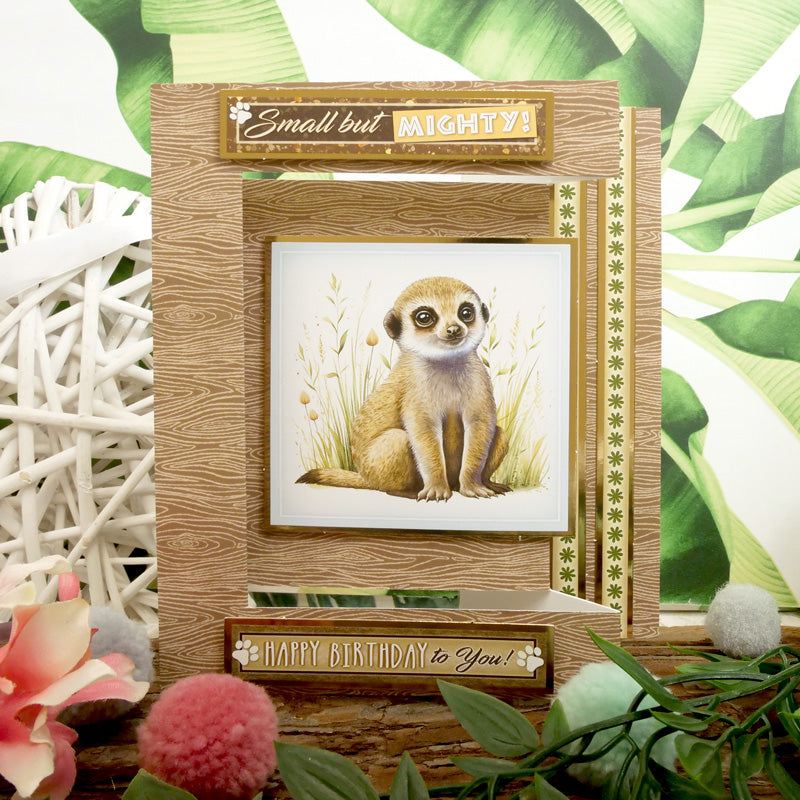 Adorable Animals Luxury Card Toppers