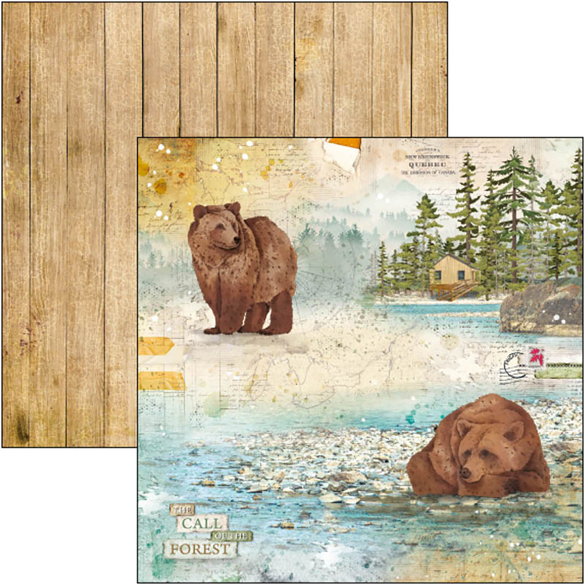 Ciao Bella Into The Wild Paper Pad 8"x8" 12/Pkg