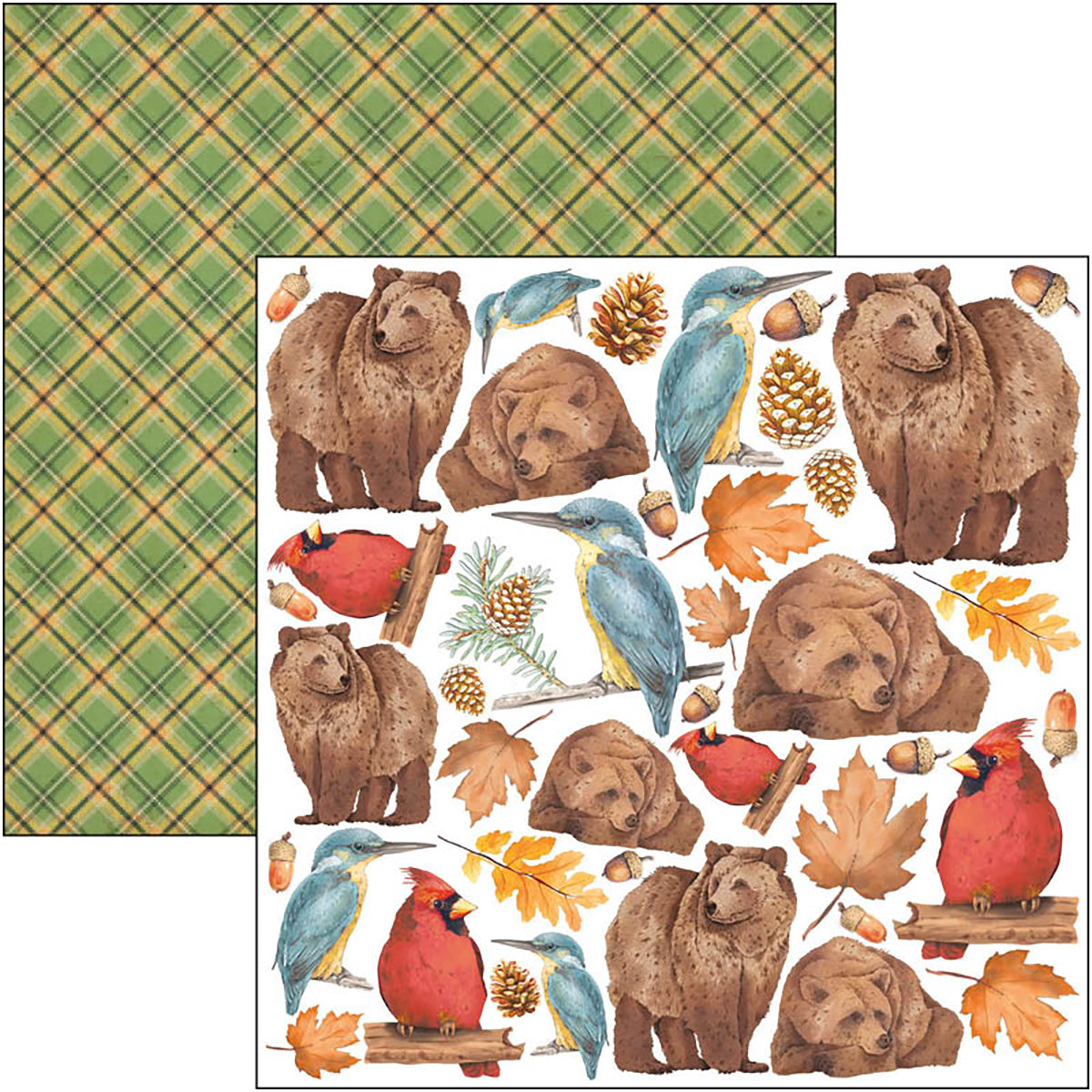 Ciao Bella Into The Wild Fussy Cut Pad 6"x6" 24/Pkg