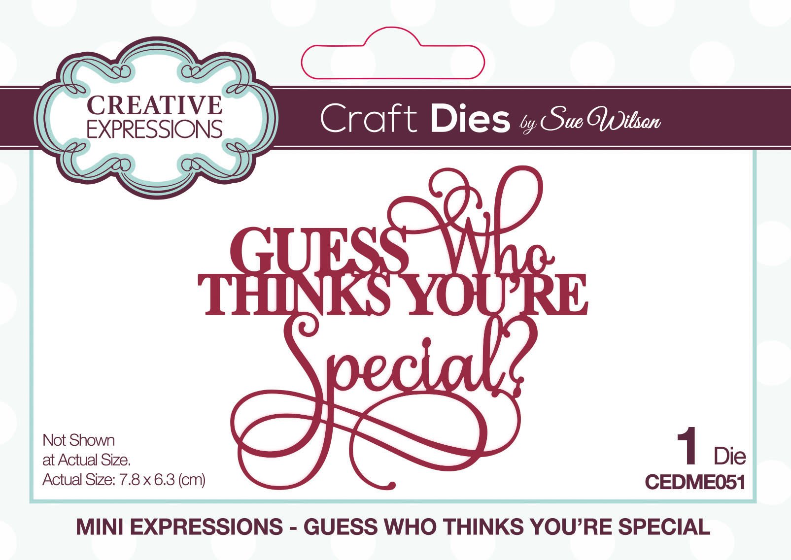 Dies by Sue Wilson Mini Expressions Guess Who Thinks Your Special