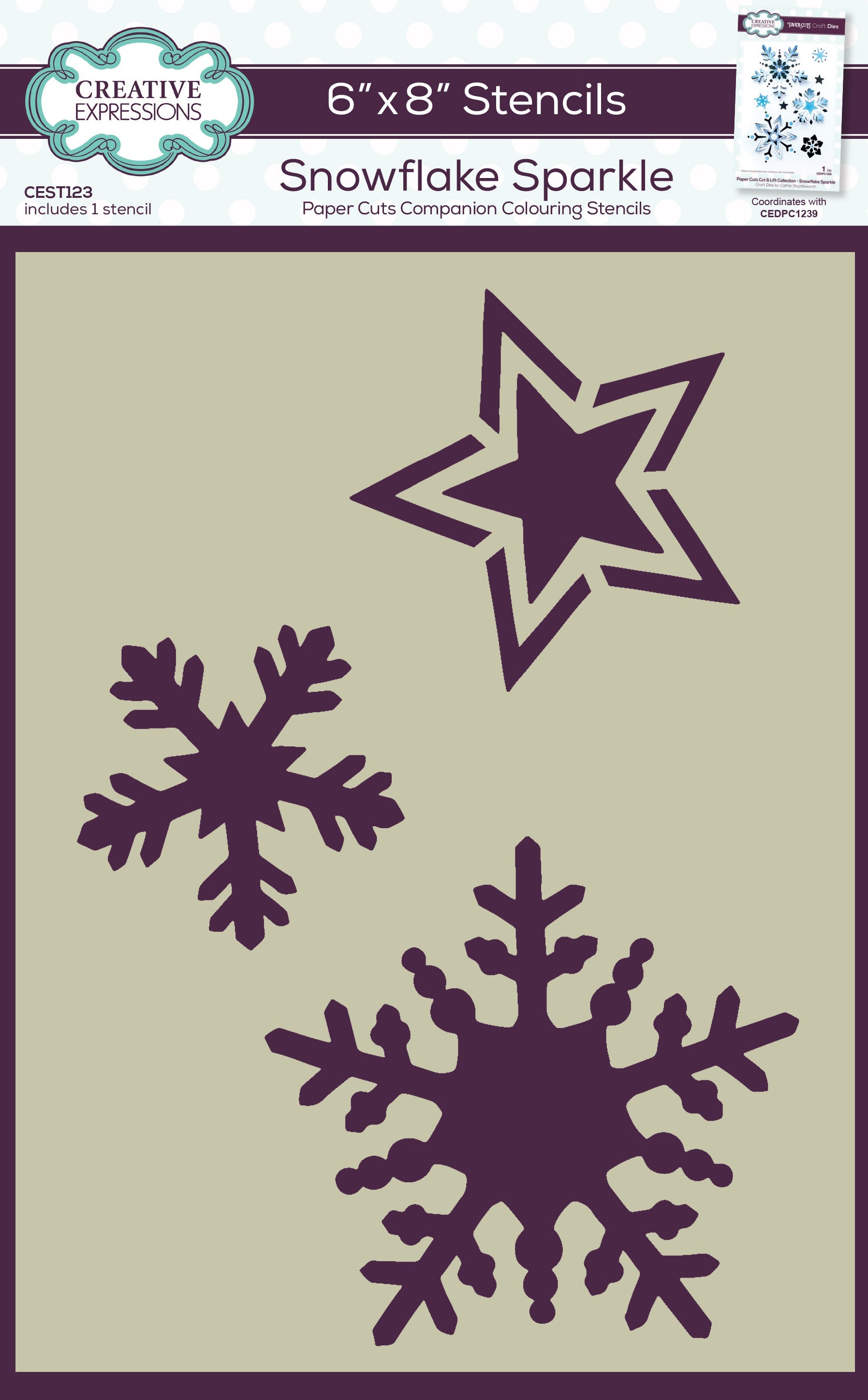 Creative Expressions Snowflake Sparkle Companion Colouring Stencil 6 in x 8 in