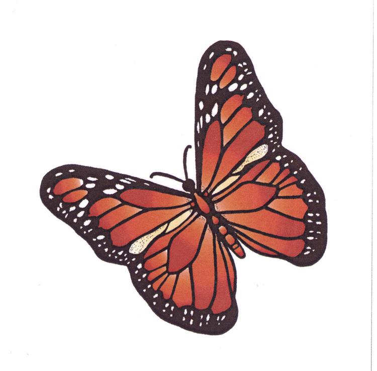 Frog's Whiskers Ink Stamp - Summer Butterfly