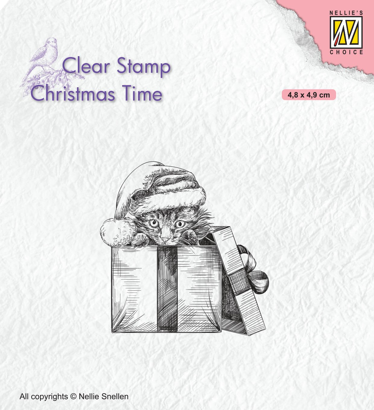 Christmas Time Clear Stamp Christmas Surprise