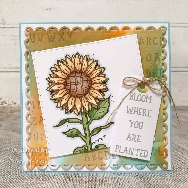 Creative Expressions Sam Poole Rustic Alphabet 6 in x 4 in Rubber Stamp Set