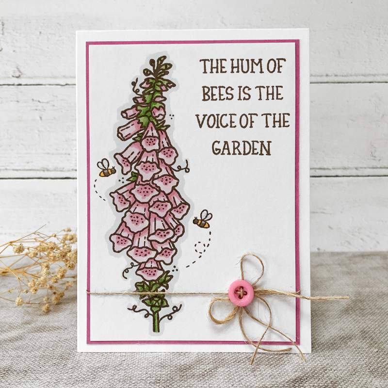 Creative Expressions Sam Poole Foxglove and Bees 6 in x 4 in Clear Stamp Set