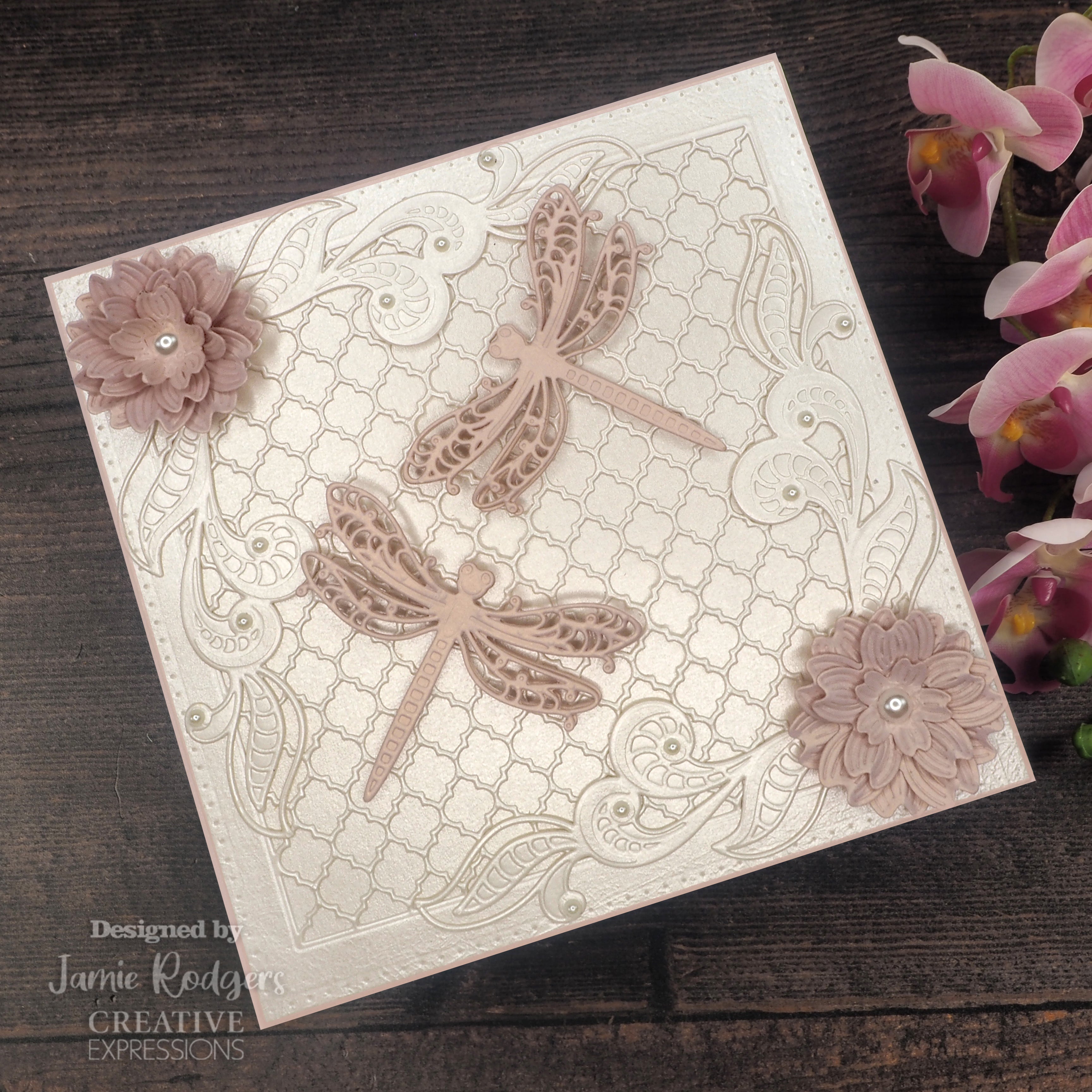 Creative Expressions Jamie Rodgers Grand Dragonfly Craft Die