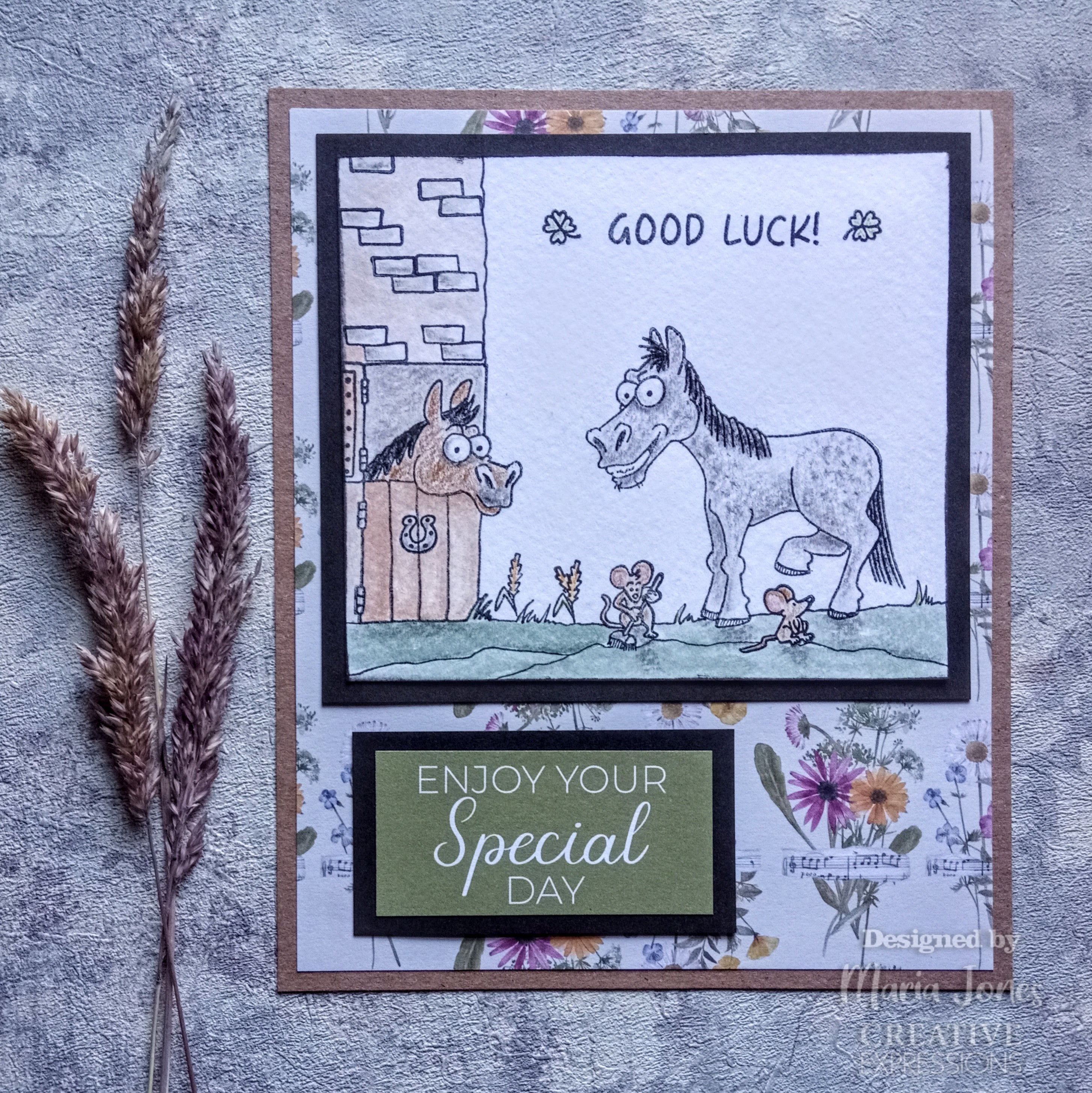 Creative Expressions Good Luck 6 in x 4 in Clear Stamp Set