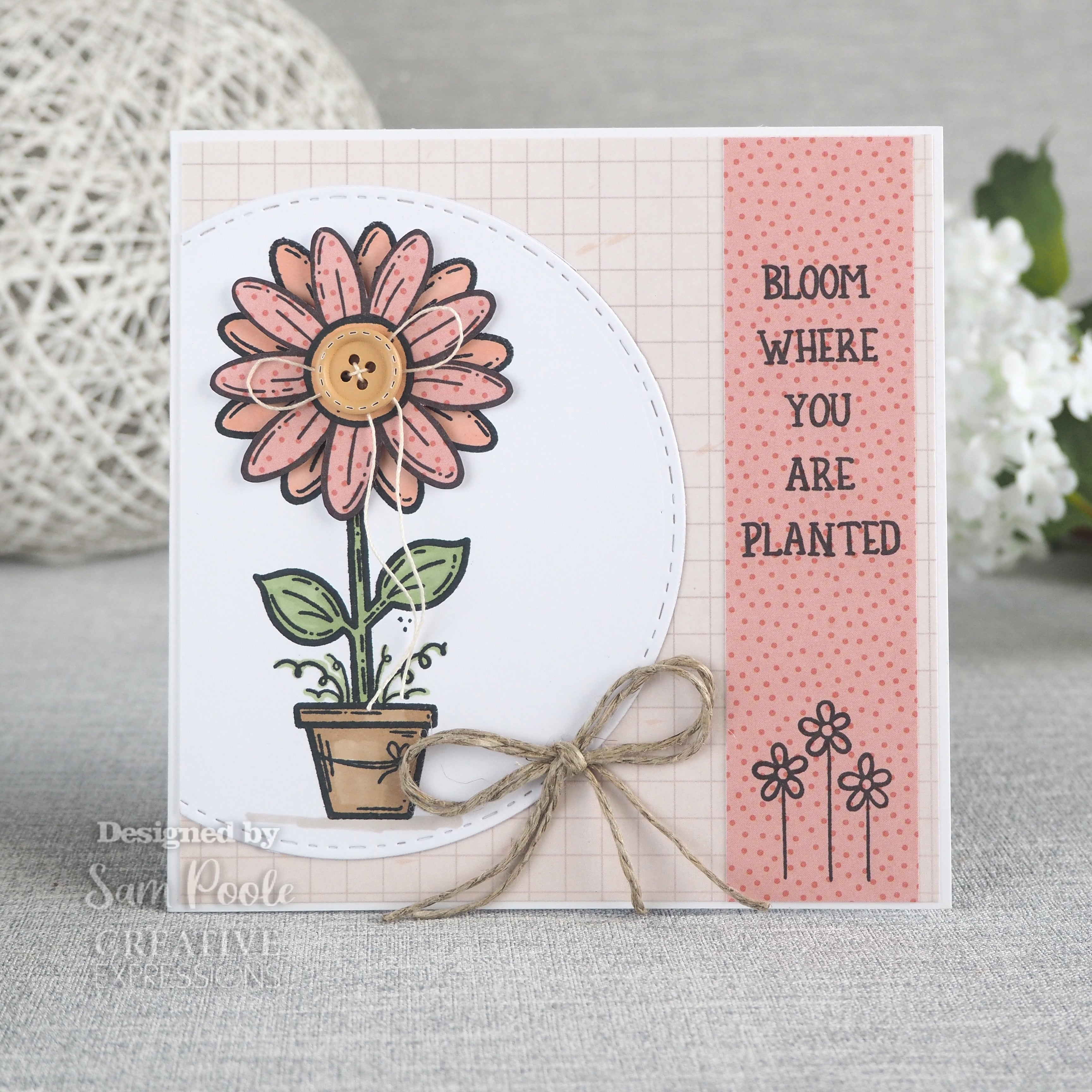 Creative Expressions Sam Poole Daisy Bloom 6 in x 4 in Clear Stamp Set