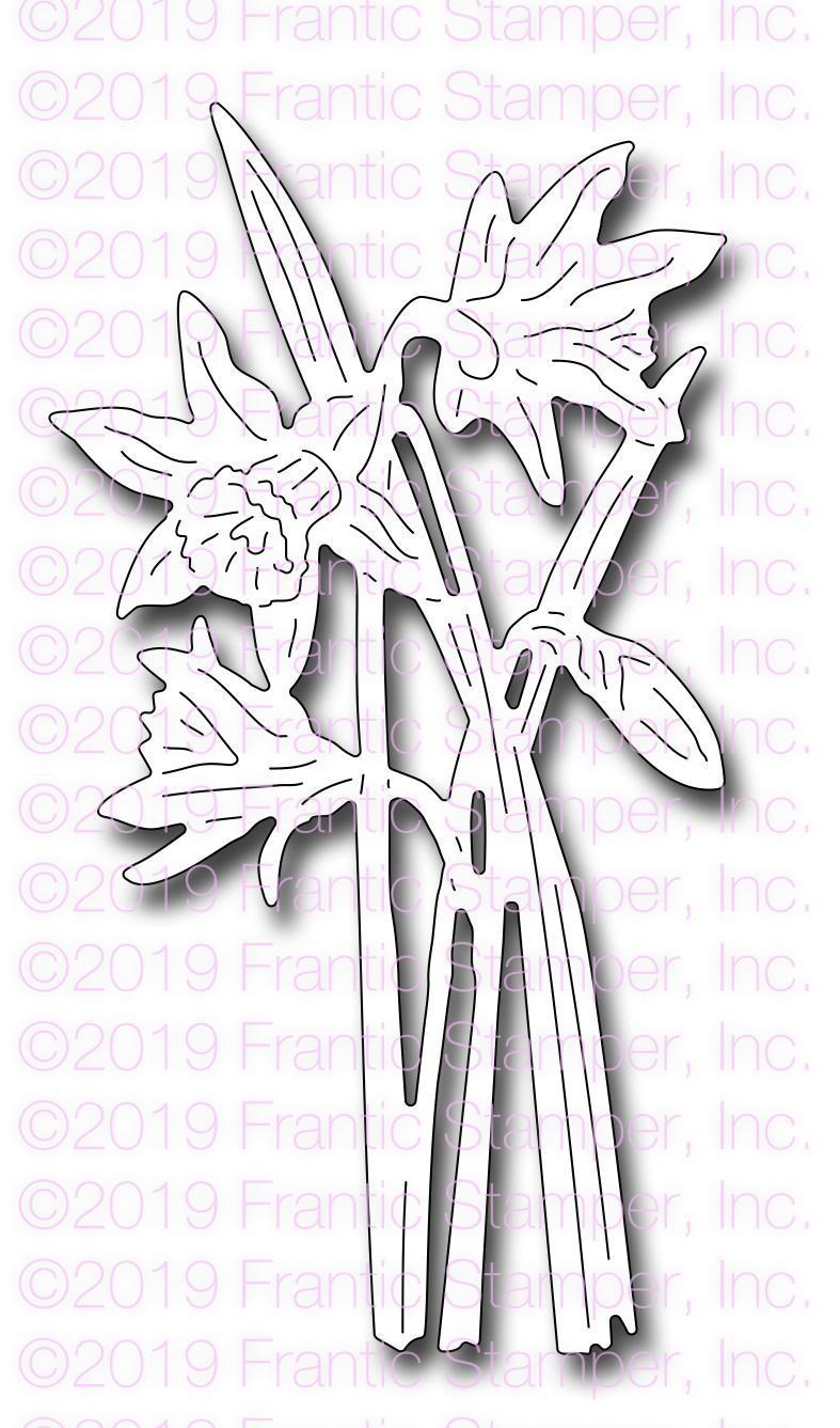 Frantic Stamper Precision Die - Botanical Daffodils