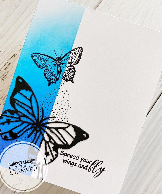 Frantic Stamper Precision Die - Swallowtail Butterfly