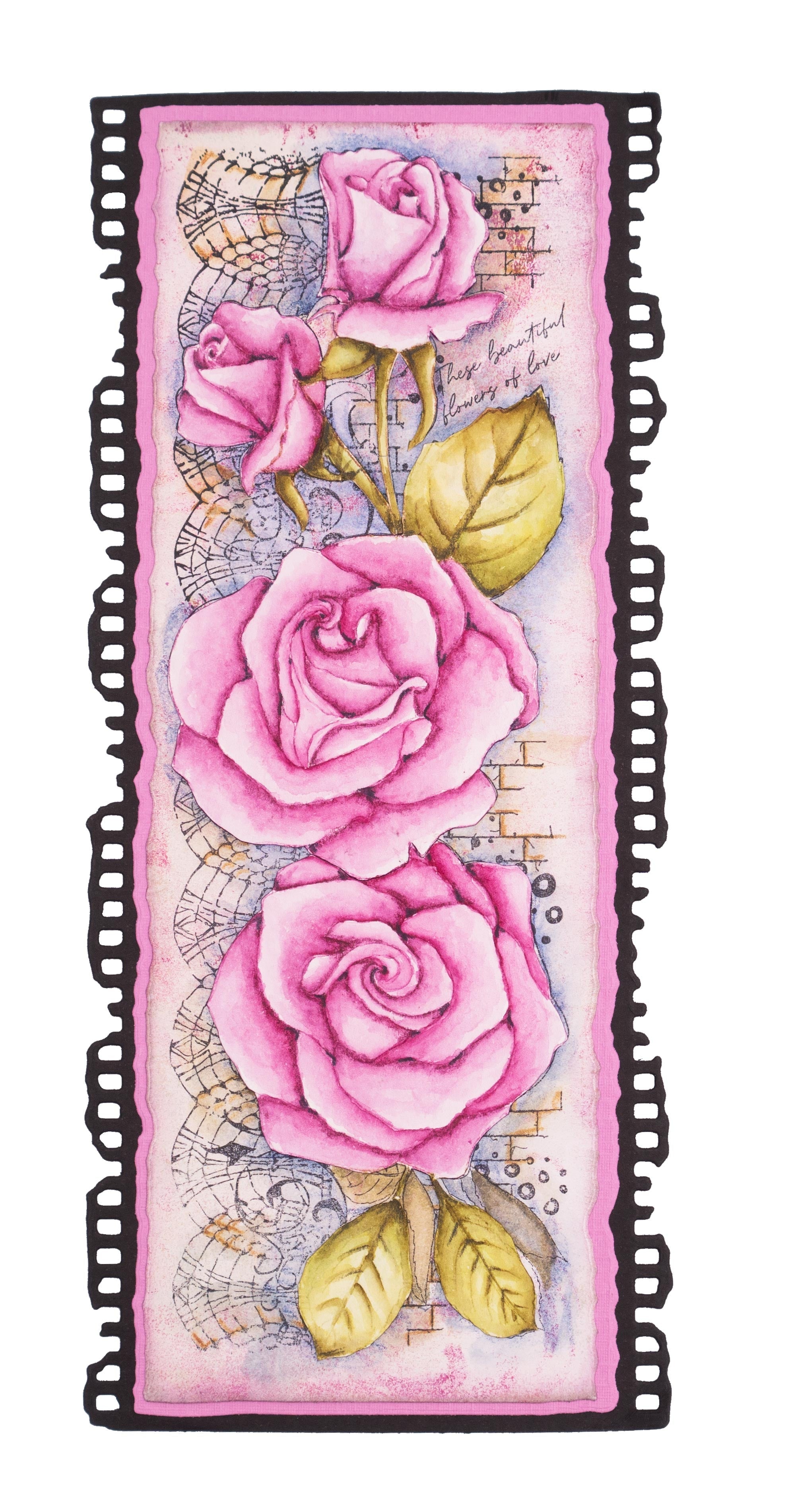 SL Clear Stamp Roses Grunge Collection 210x74x3mm 1 PC nr.202