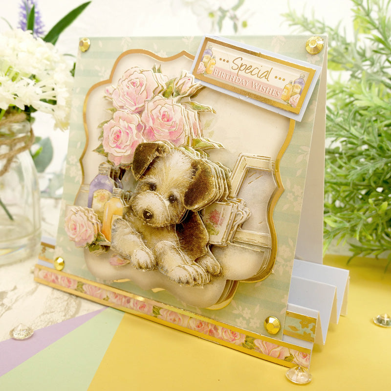 Hello Spring Deco-Large Set - Paws For Thought