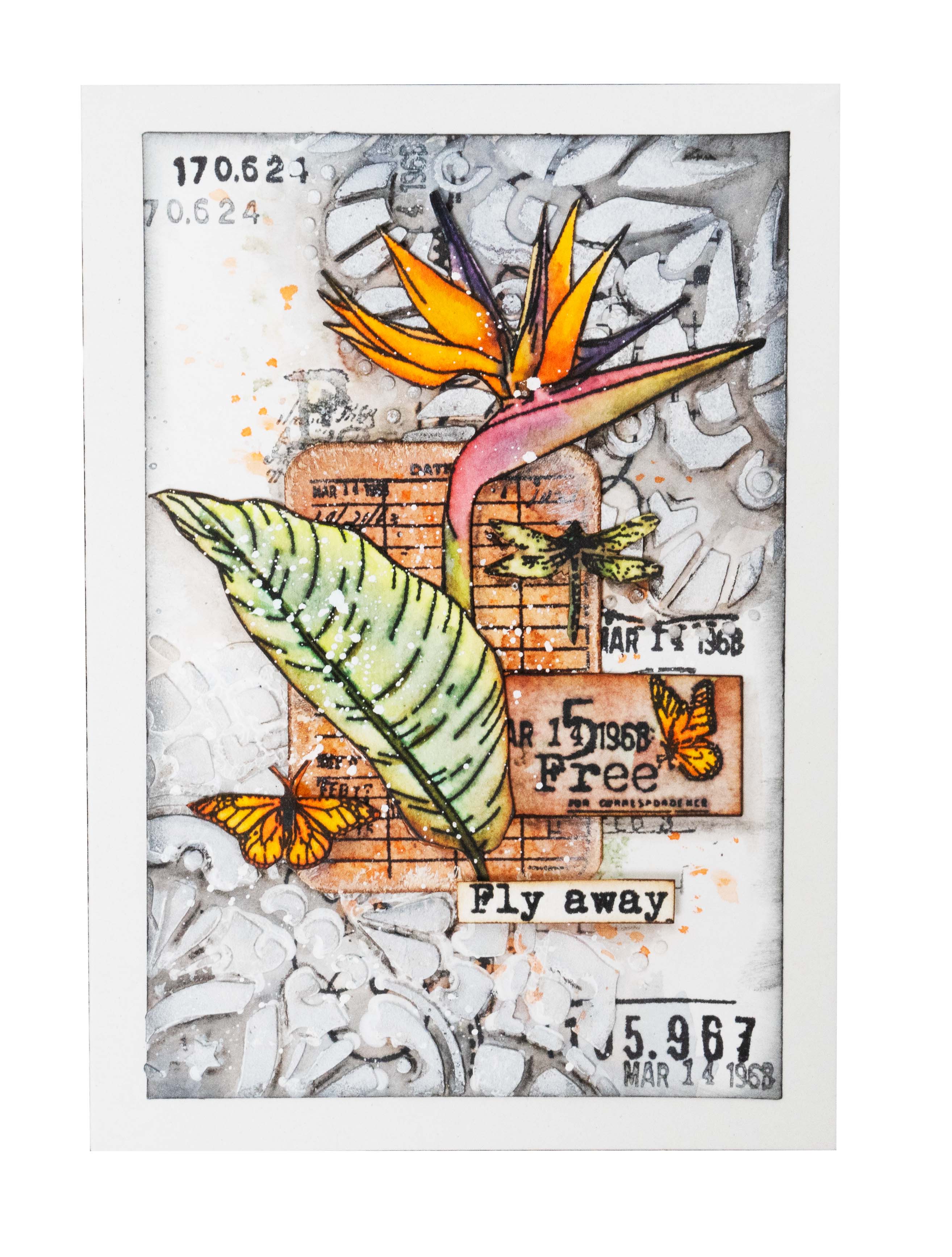 JMA Clear Stamp Script Strelitzia Feelings Of Freedom 88x197x3mm 1 PC nr.420