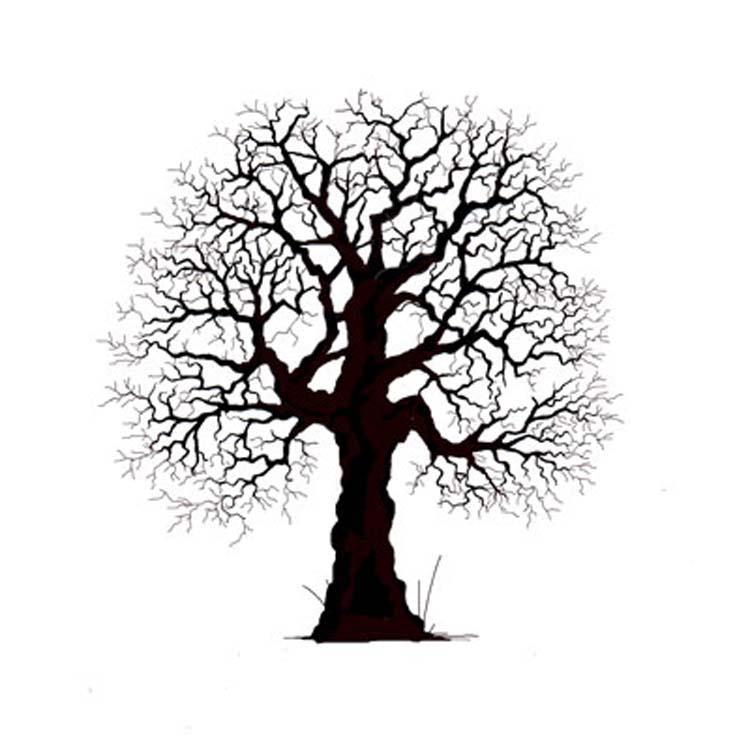 Lavinia Stamp - Oak Tree