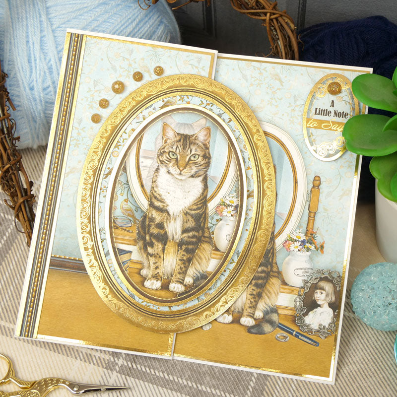 Purr-fect Wishes Luxury Topper Set
