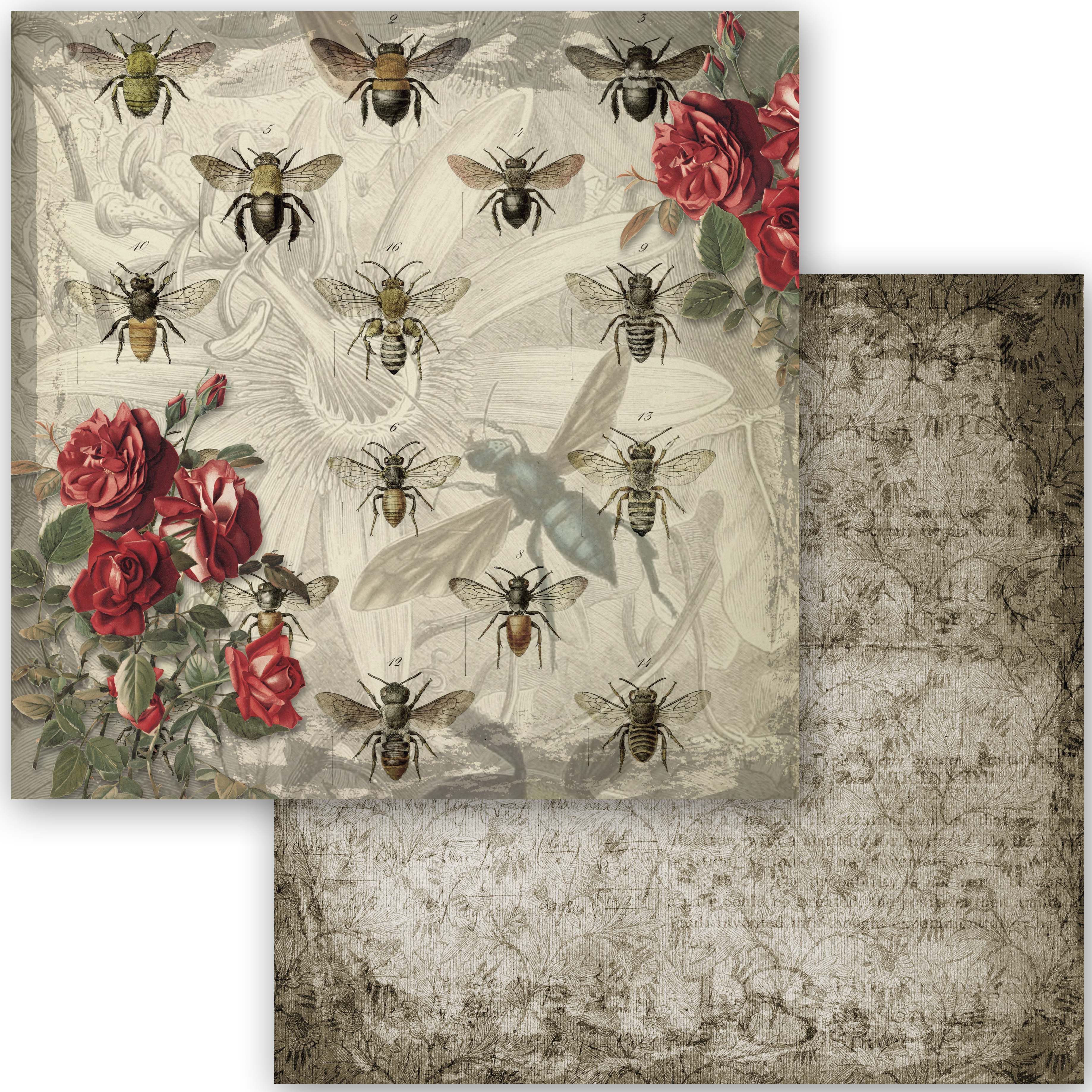 Queen Bee Collection Scrapbook Set - 12" x 12"