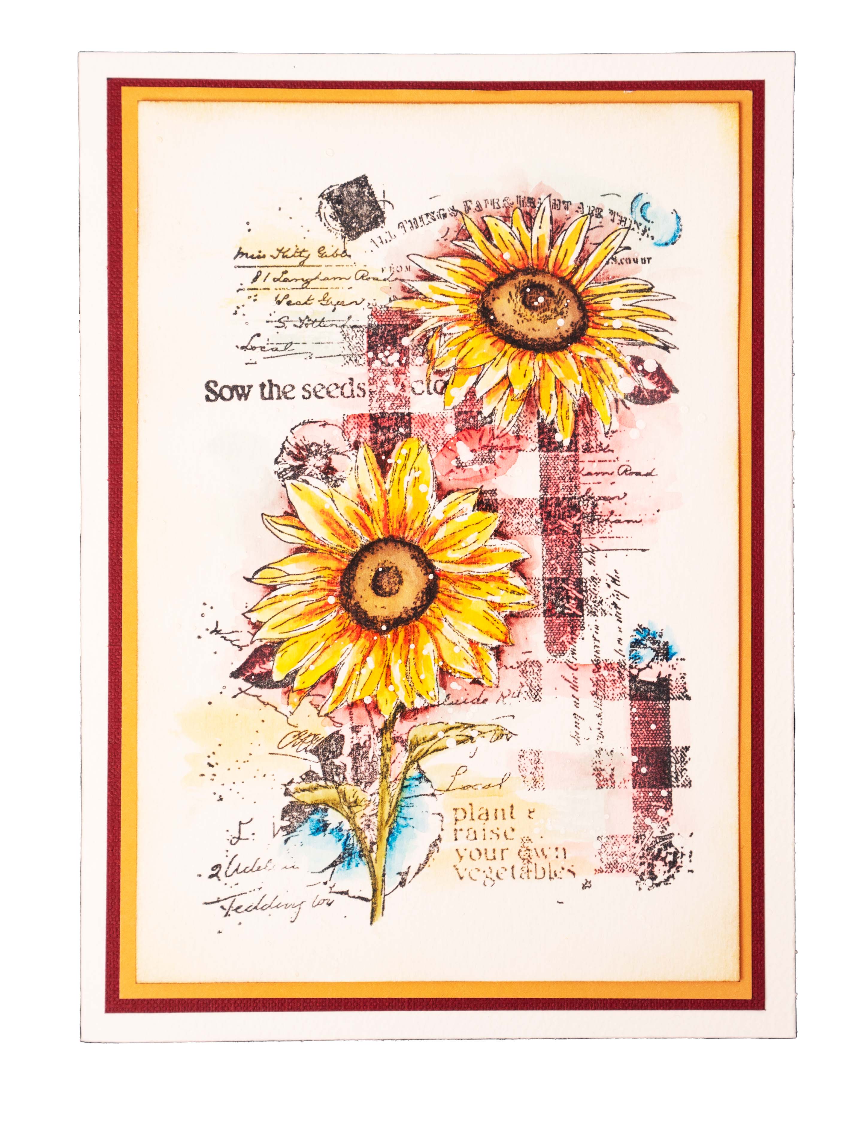 SL Clear Stamp Sunflower Picnic Sunflower Kisses 91x138x3mm 1 PC nr.437