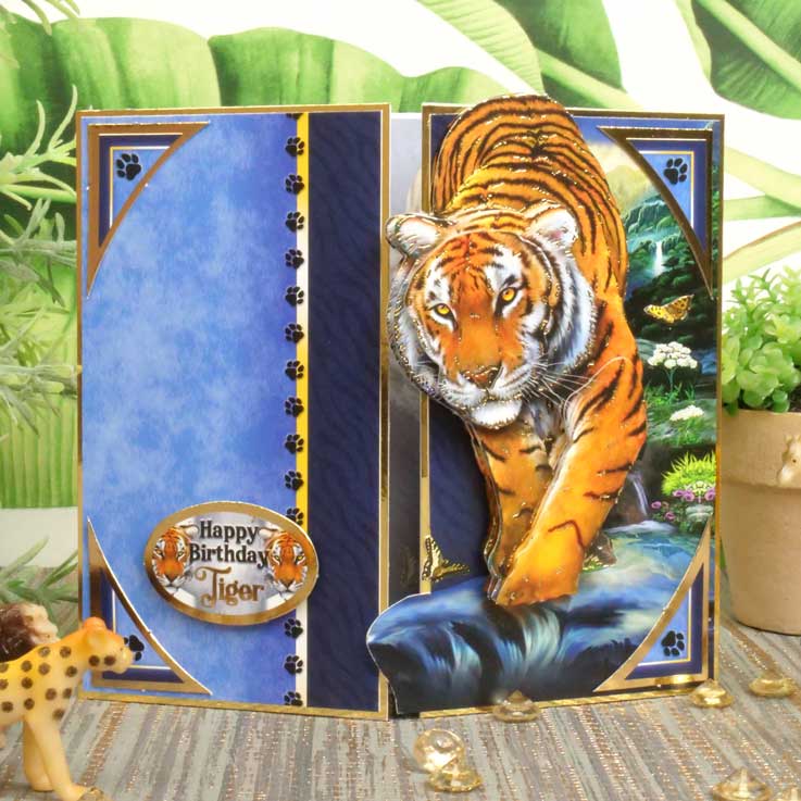 Into The Wild Deco-Large Set - Go Get 'Em Tiger!