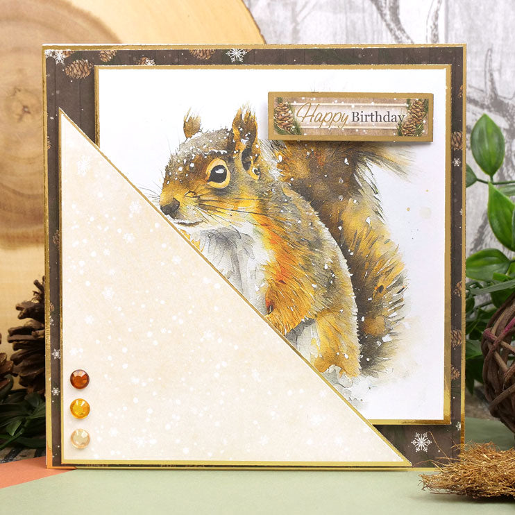 Winter Woodland Inserts & Papers
