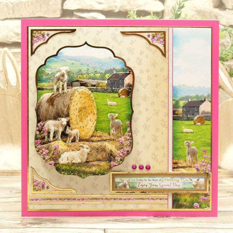 Meadow Farm Deco-Large - Play Time