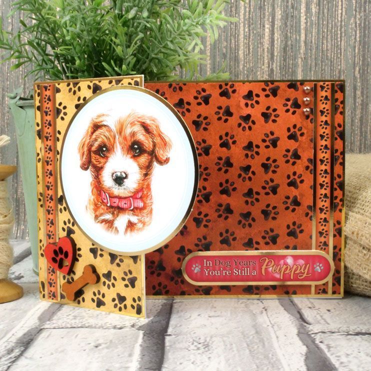 Pawprints Adorable Scorable Cardstock Pattern Pack