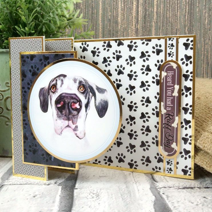 Pawsome Portraits Luxury Card Toppers